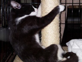 SouthCentral Surveyors of Texas - Photo 1