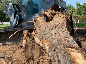 Quick Reaction Construction - Photo 2