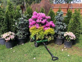 Landscape Alaska - Photo 0