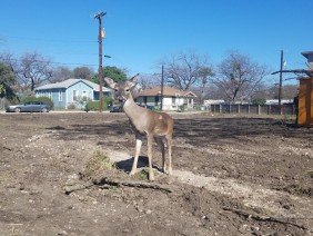 Stephen G. Cook Engineering, Inc. - Photo 0