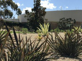 Landscapes USA - San Diego - Photo 1