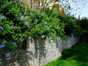 Madroño Landscape Design Studio - Photo 1