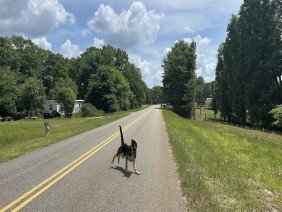 Michael J. Williford Land Surveying - Photo 2