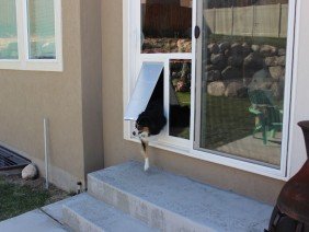 Pet Door Products - Photo 1