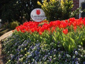 Lakewood Landscape Group - Photo -1