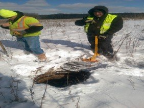 Wightman - Benton Harbor - Photo 3