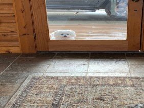 Freedom Heating & Cooling - Photo 1