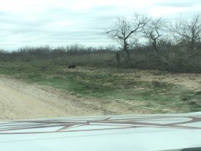 Frontier Surveying Co. - Photo 0