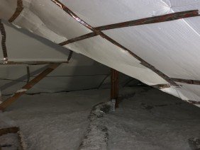 Geo-Insulation & Nuisance Wildlife Removal Services, LLC - Photo 2