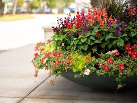 Landscape Workshop - Photo 0