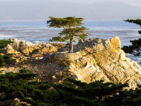 Foundation Building Materials - Home Office - Photo 6