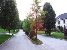 Gabriel E. Senor, P.C. - Photo 2