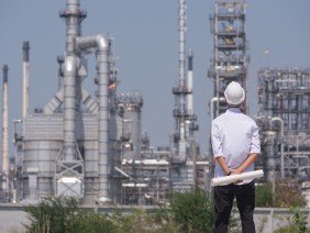 Dynamic Plant Design LLC - Photo 3