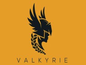 Valkyrie Construction - Photo 2
