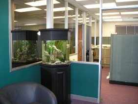 Baer Engineering & Environmental Consulting, Inc. - Photo 3