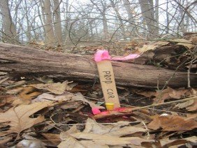 Behar Surveying Associates, PC - Photo 1