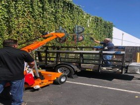 The Window Specialist - Photo 1