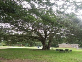 Mobile Masonryand Concrete Company - Photo 4