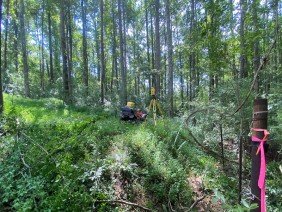 Keystone Land Surveying, Inc. - Photo 0