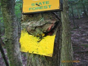B3 Land Surveyors - Photo 0