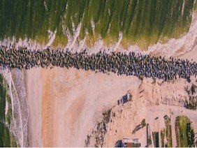 Accurate Land Surveyors - Photo 0