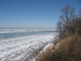 PELSA Company Inc. - Photo 2