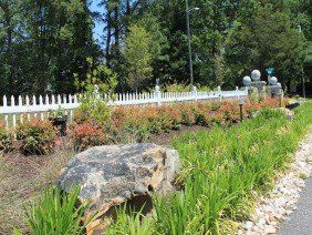 WPL Land Design - Photo 2