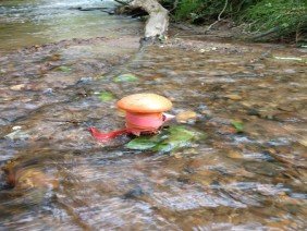 Banks Creek Surveying, Inc. - Photo 4