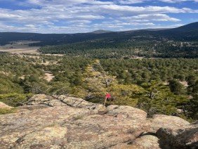 Colorado ILC Services - Photo 5