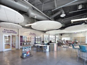 The Architecture Company - Photo 3