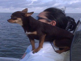 SouthCentral Surveyors of Texas - Photo 4