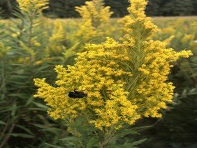 Rutheo Designs - Photo 3