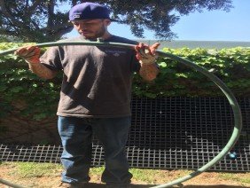 California Aquatics - Photo 2