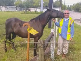 TEXAS PUBLIC LAND SURVEYING LLC - Photo 0