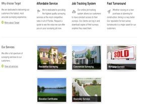 Target Surveying - Photo 1