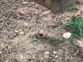 Michael J. Williford Land Surveying - Photo 0