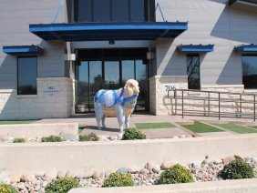 SKG Engineering - Photo 3