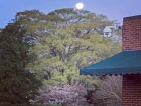 CESI Civil-Geotechnical-Surveying - Photo 1