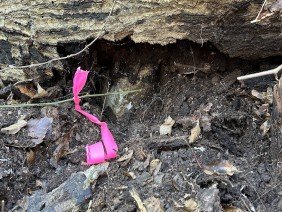 Michael J. Williford Land Surveying - Photo 3