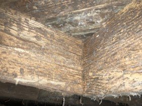 West Foundation Services - Photo 0