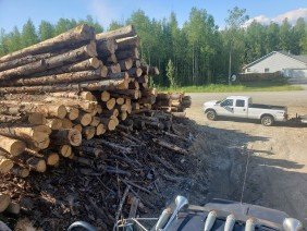Firewood and Land Clearing Alaska - Photo 0