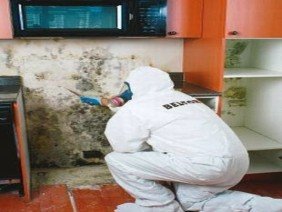 BELFOR Property Restoration - Photo -1