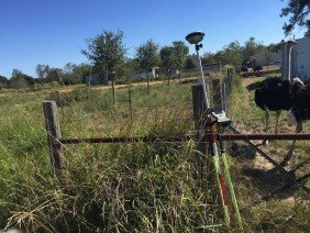 TEXAS PUBLIC LAND SURVEYING LLC - Photo 4