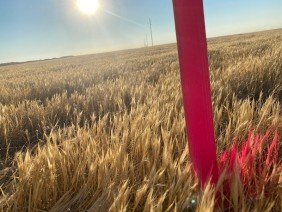 Boundary Surveying & Mapping Inc - Photo 1