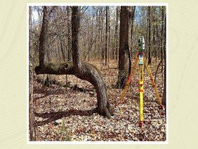 Stewart & Neece Land Surveying - Photo 0