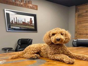 Alabama Construction Supply - Photo 4