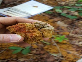 Koontz Bryant Johnson Williams, Inc. - Photo 1