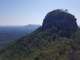 Pilot Surveying and Engineering, PC - Photo 0