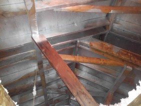 Geo-Insulation & Nuisance Wildlife Removal Services, LLC - Photo 1