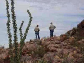 Sheppard Surveying Company, Inc - Photo 3